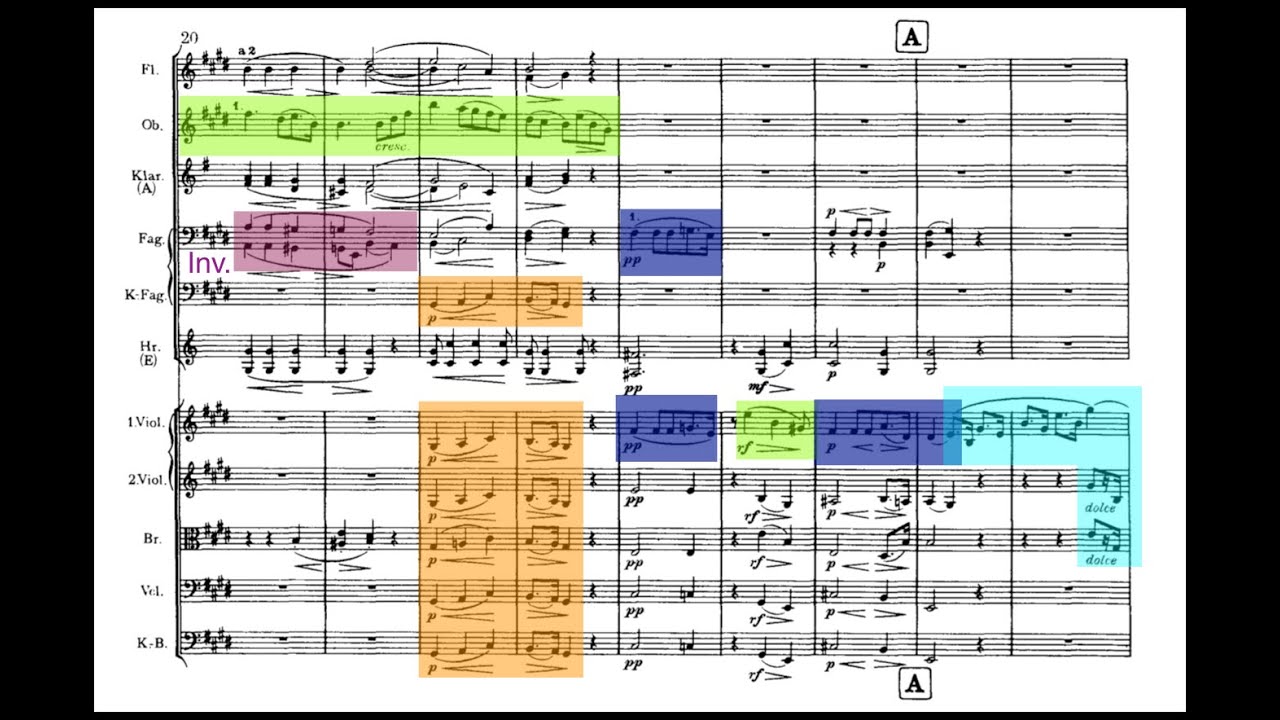 Brahms Symphony No. 1, Favorite Moments: Mvt. 2