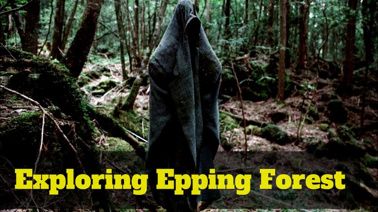 EXPLORING EPPING FOREST (LONDON)