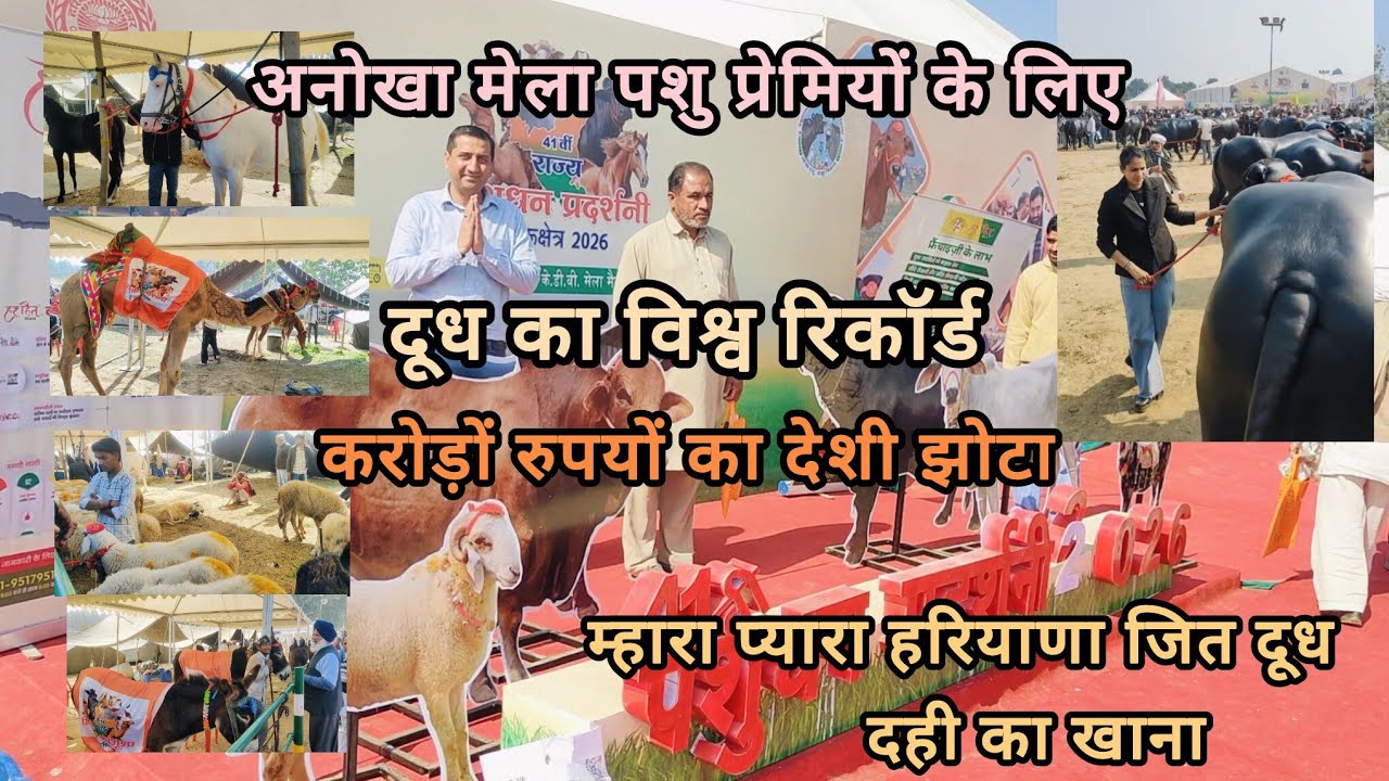 हरियाणा पशुधन मेला कुरुक्षेत्र 26 पूरी जानकारी और महंगे दुधारू पशु के साथ घोड़े ऊंट भेड़ 