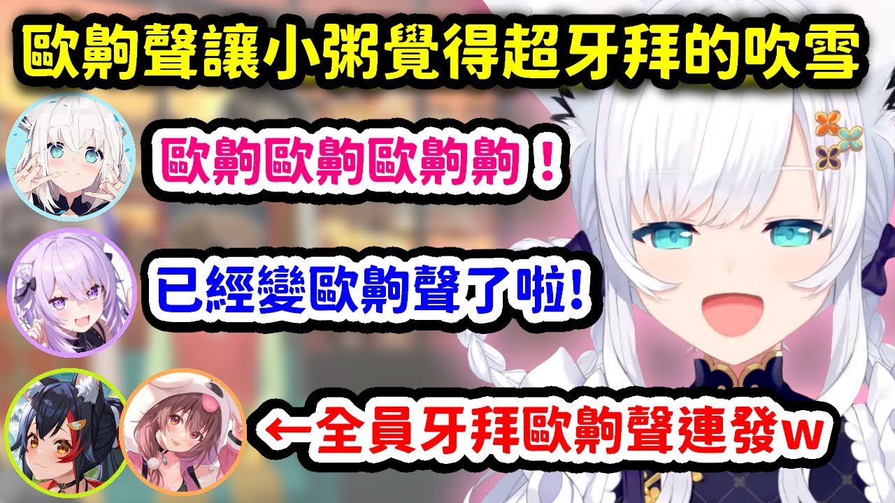 模仿黑猩猩叫聲結果意外發出歐齁聲，讓小粥覺得超牙拜的吹雪【白上吹雪 x 大神澪 x 貓又小粥 x 戊神沁音】【Hololive中文精華】