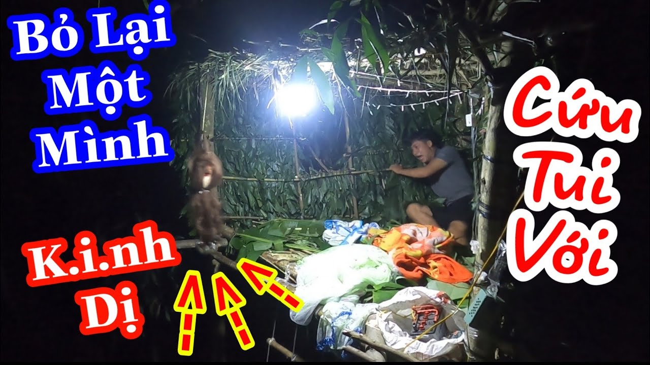 TXTV - Khóc Hết Nước Mắt Khi Bị Thánh Xàm Phục H.ậ.n Bỏ Lại Một Mình Nhà Trên Cây