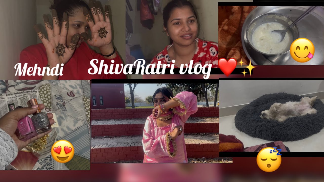 	Mahadev Blessings 🕉️📿 | Shivratri Vlog 2026