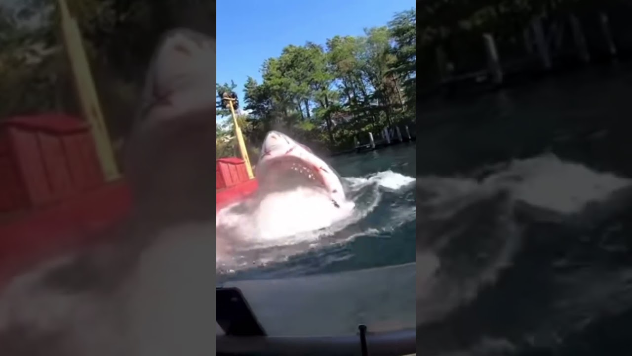 Jaws ride 2021 Japan