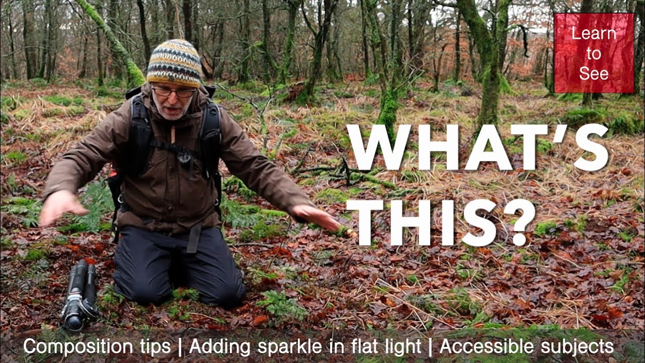 Nature Photography - Poor Weather Conditions = Great Opportunities