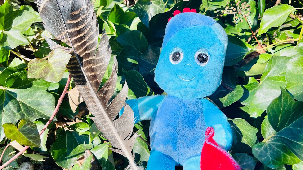 Iggle Piggle Soft Toy Outside Spring Day In The Night Garden Toys!