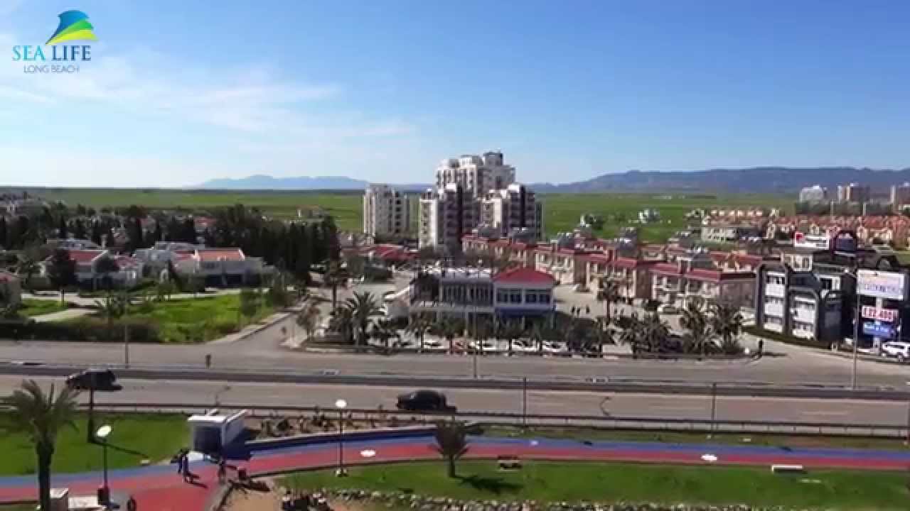 Sea Life Residence Mart 2015