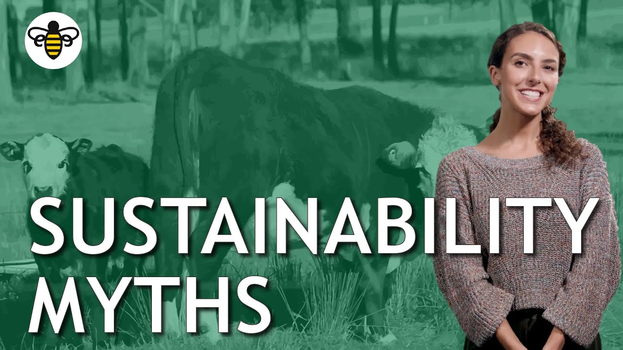 Top 10 Sustainability Myths
