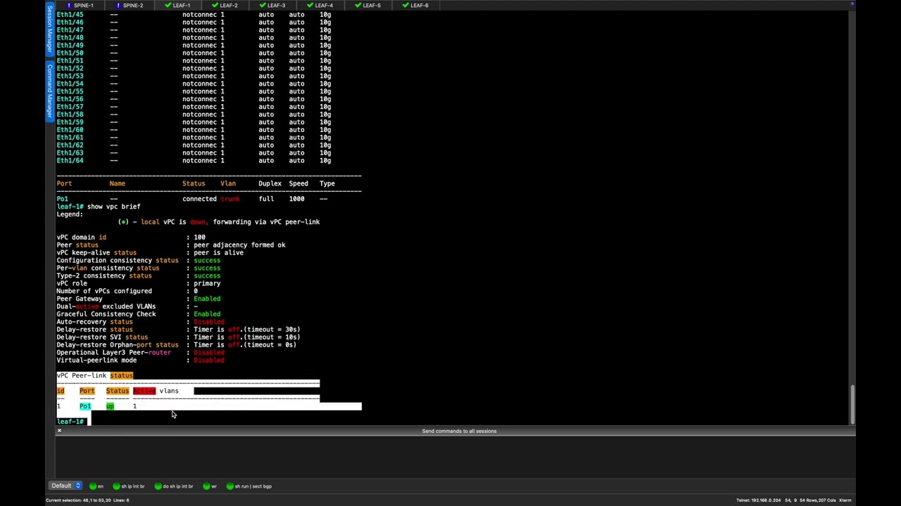 vPC VXLAN EVPN - Part 1 - vPC Setup