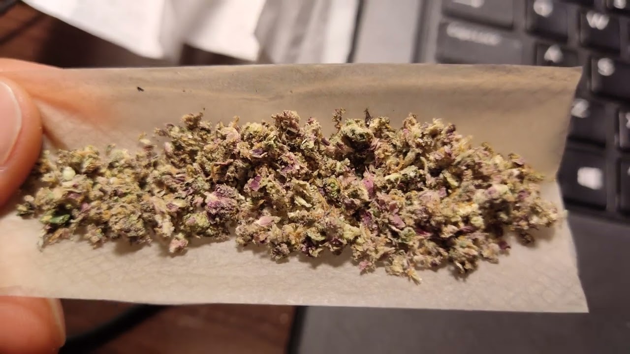 07/06/2022 the most purple weed eva