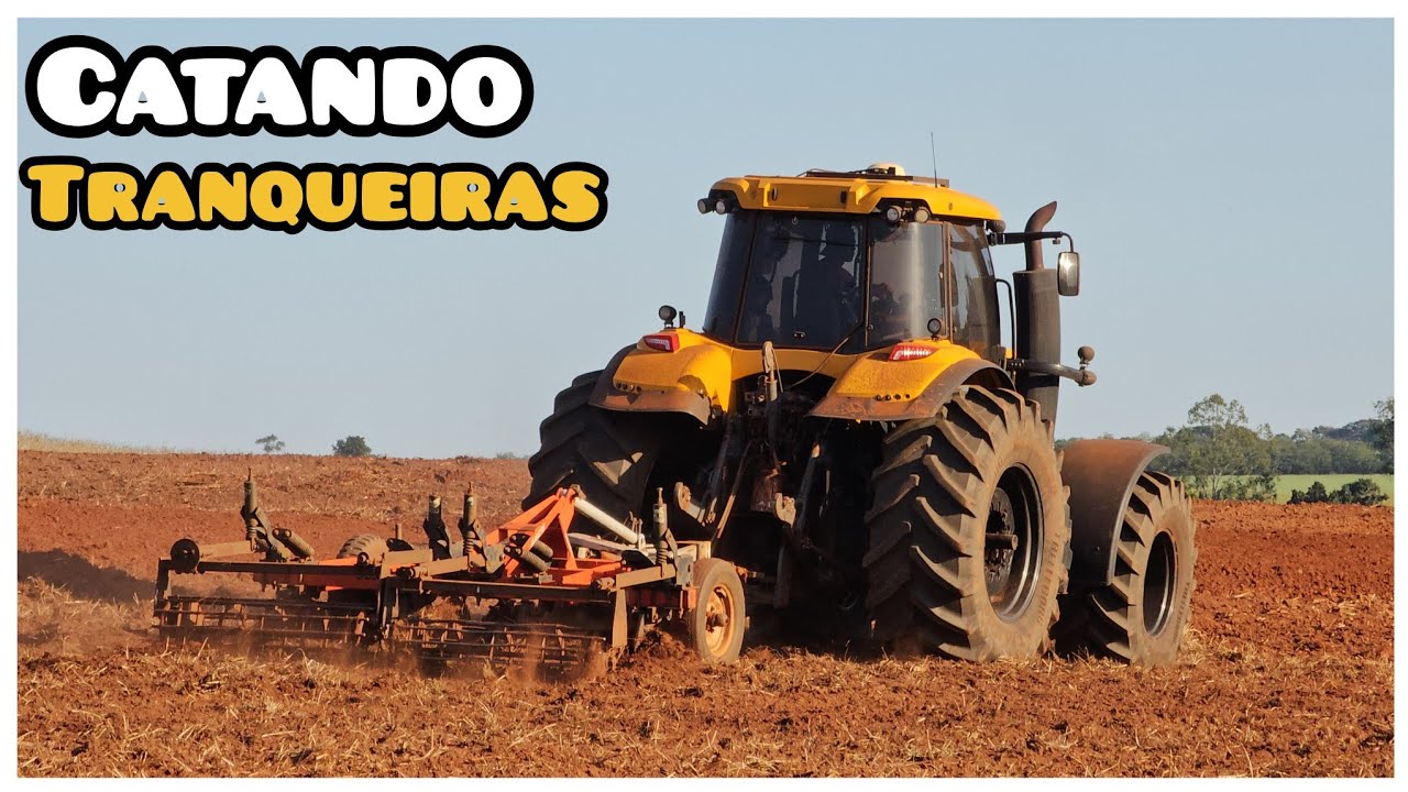 SUBSOLADOR 7 HASTES NA TERRA DE MANDIOCA