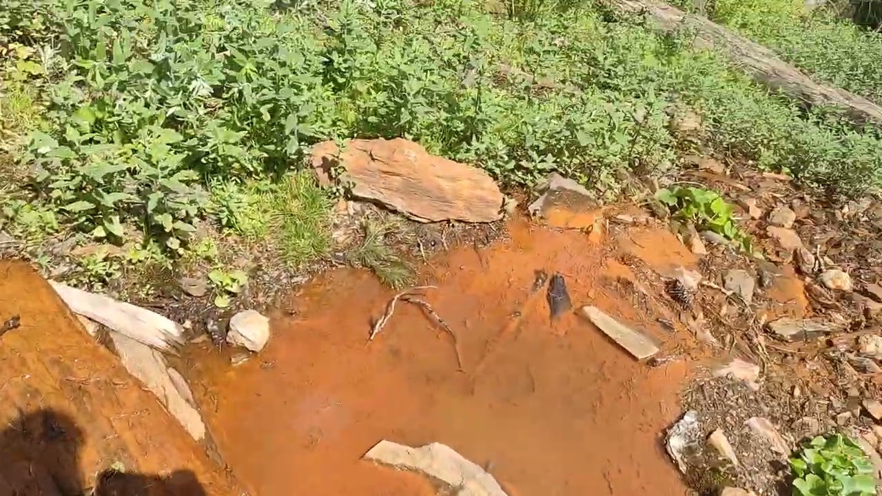 Natural iron rich water💧 #youtube #trekking #time #wildlife #nature