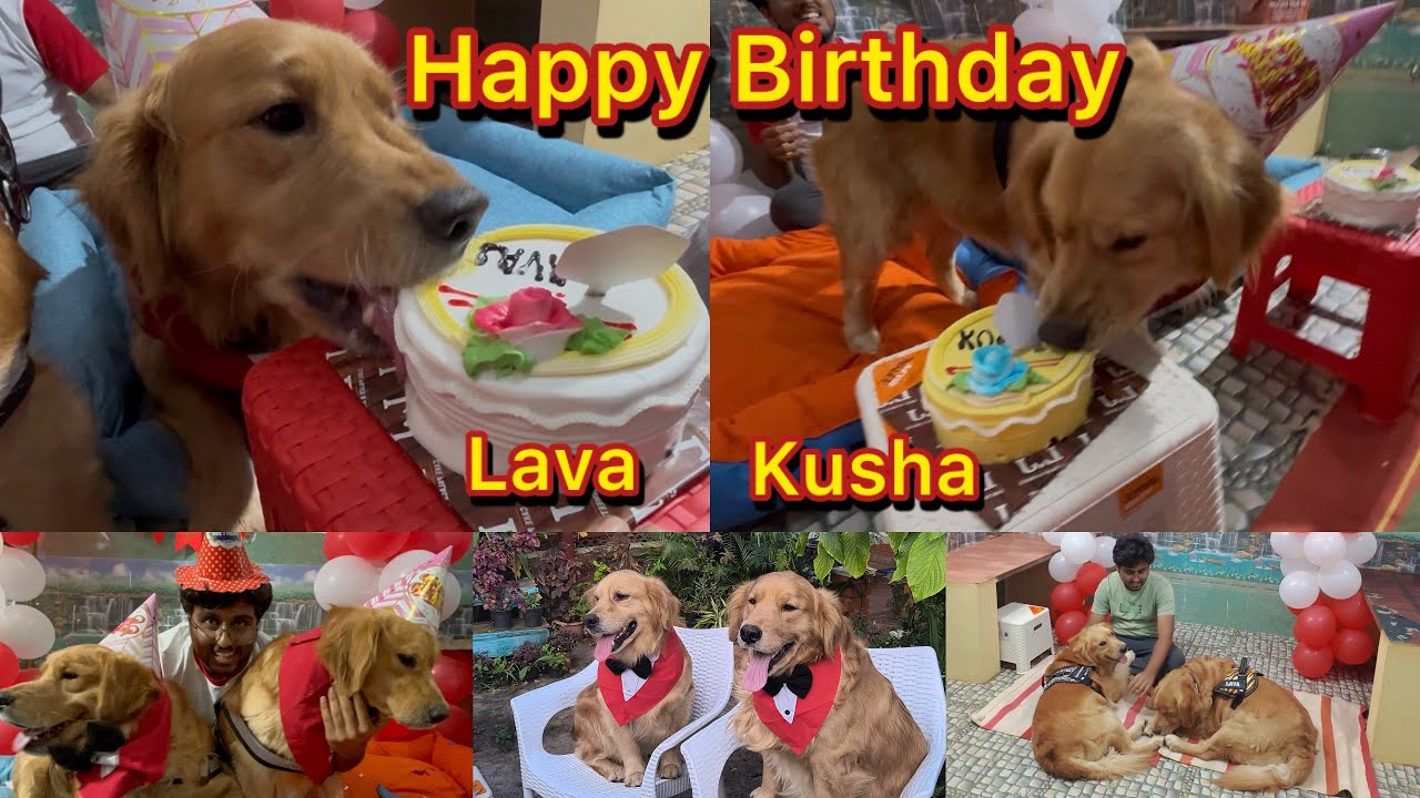 Lava Kusha Birthday Celebration 