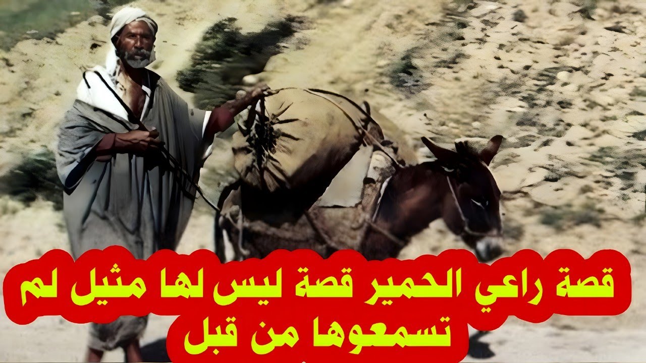 قصة راعي الحمير قصة ليس لها مثيل لم تسمعوها من قبل 