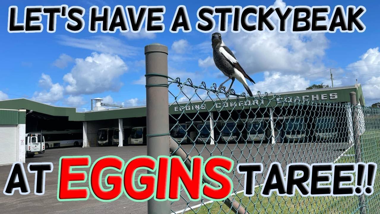 EGGINS TAREE DEPOT TOUR AND BUS RIDE!!