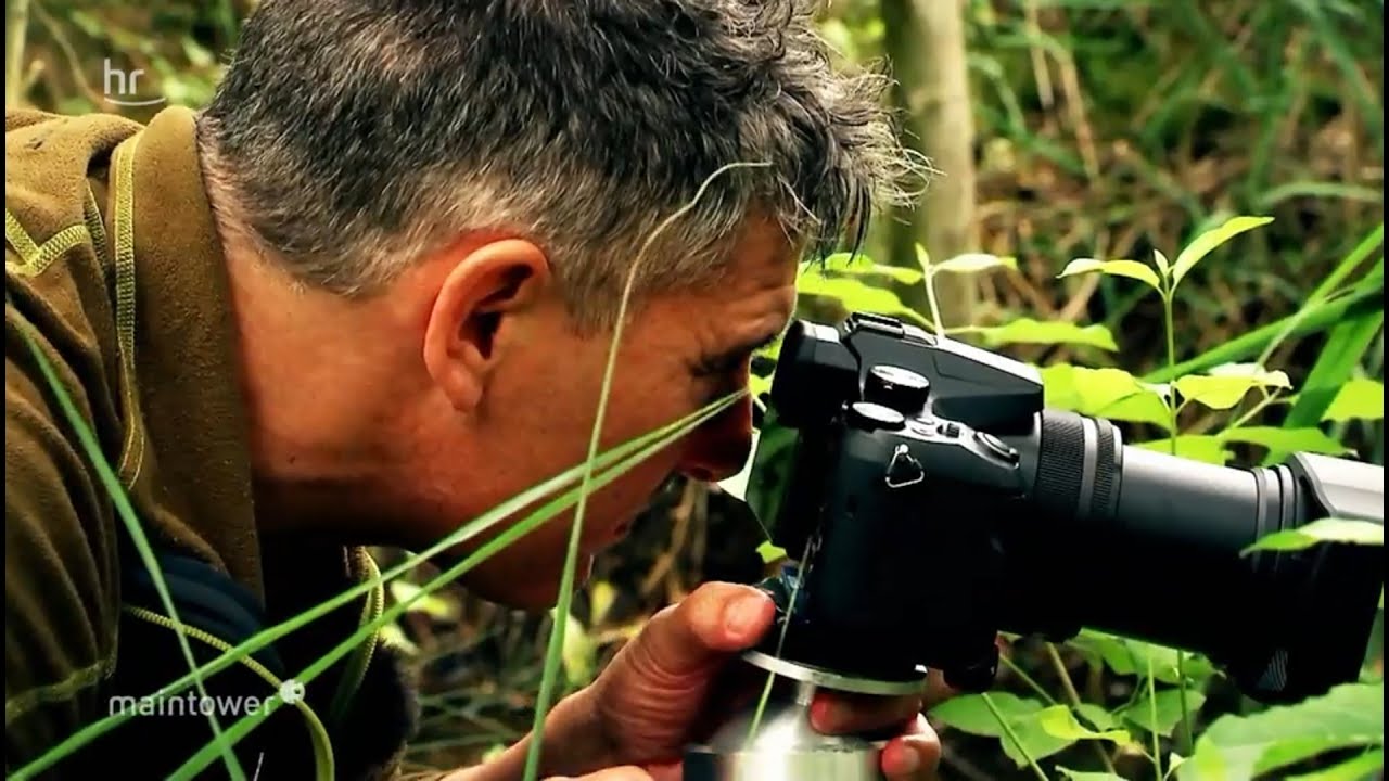 Naturfotograf Reinhard Mink auf Deutschland-Tour (2/5) | maintower