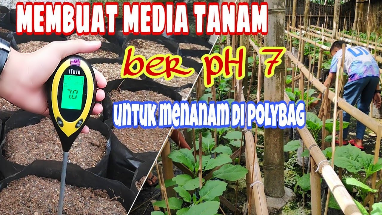 Cara membuat Media tanam di polybag dalam pot