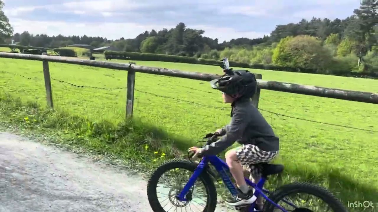 Family bike ride around delamere forest