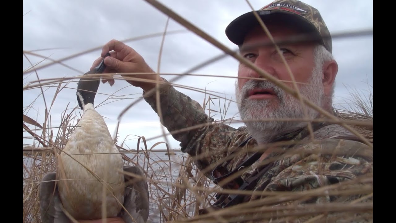Louisiana duck hunting with the Avian X TV Crew