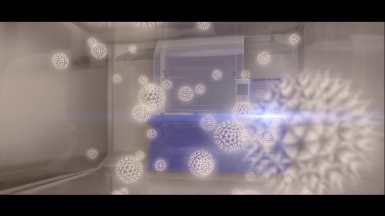 AG Clean &ndash; Vietnamese