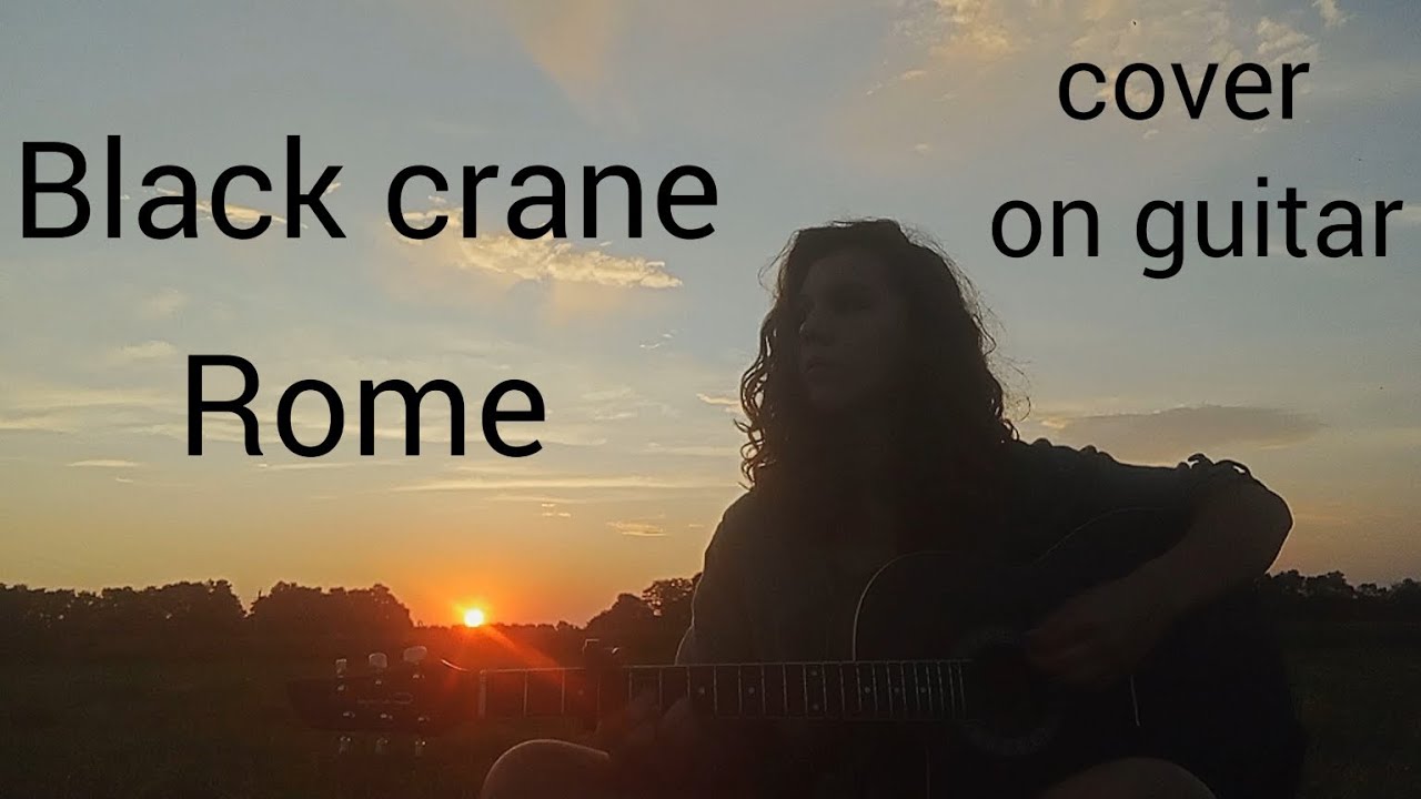 Rome | Black crane | cover on guitar | кавер на гитаре
