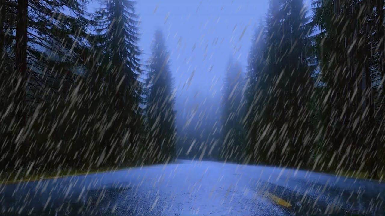 Thunder and Rainstorm Sounds – 10 Hour Sleep Ambience on a Deserted Forest Road at Midnight
