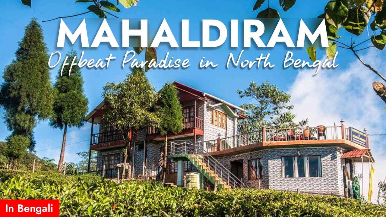 Mahaldiram || Offbeat Darjeeling || Salamander Jungle Camp || Kurseong Tour || Offbeat North Bengal