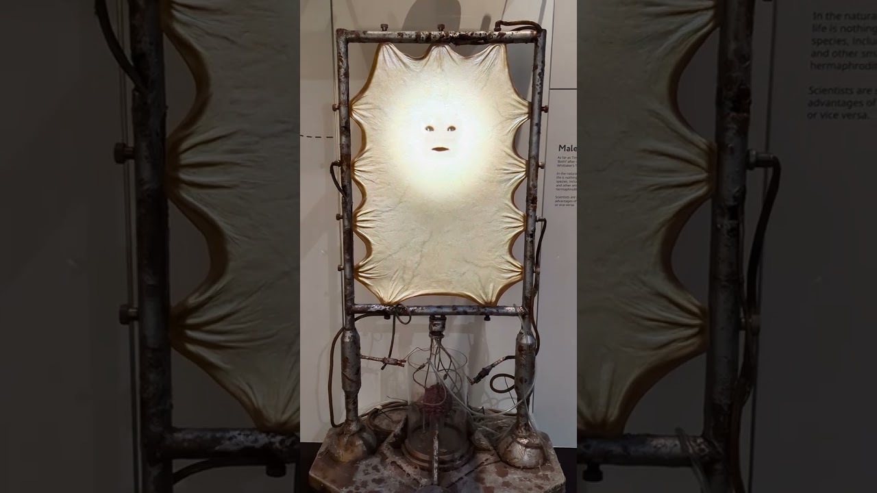The Lady Cassandra! (Dr Who)
