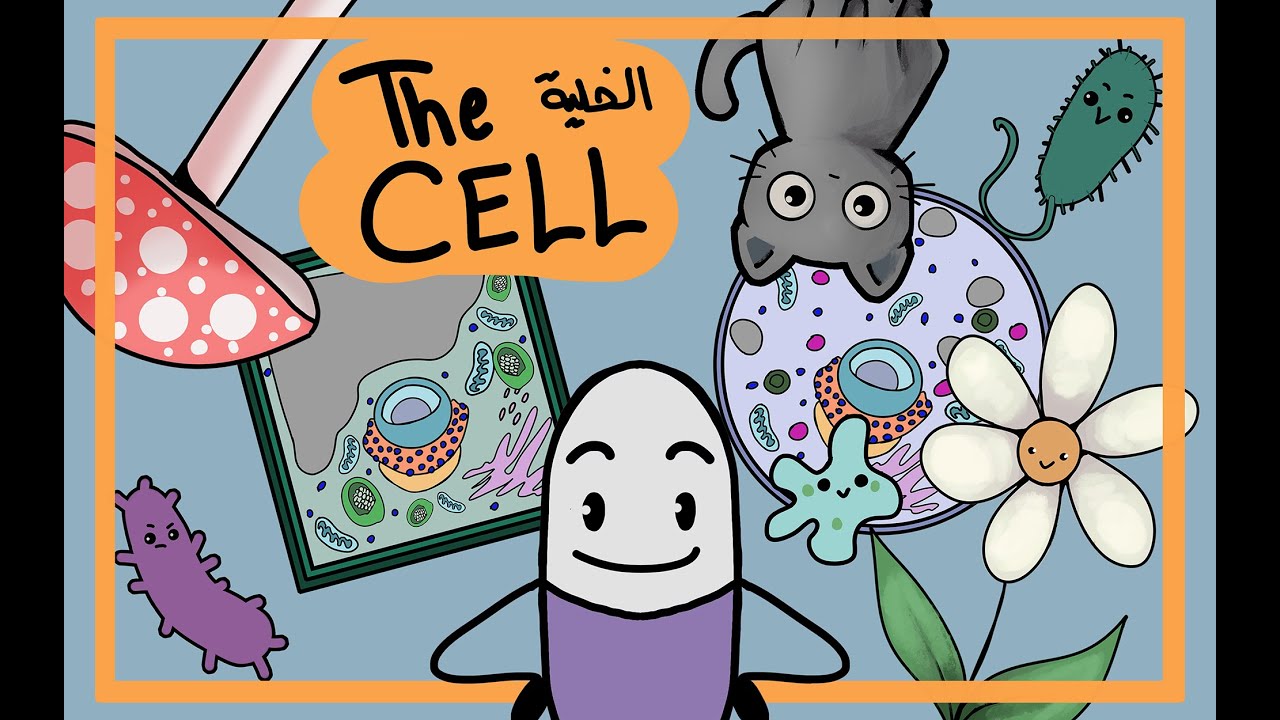 أنواع الخلايا والعُضيّات(organalles) | شرح مبسط أول تشابتر من General Biology 101 - الجزء الثاني