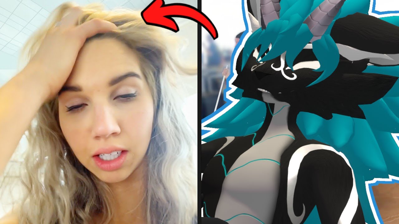 Furry is back reacting to Daily Dose of Internet