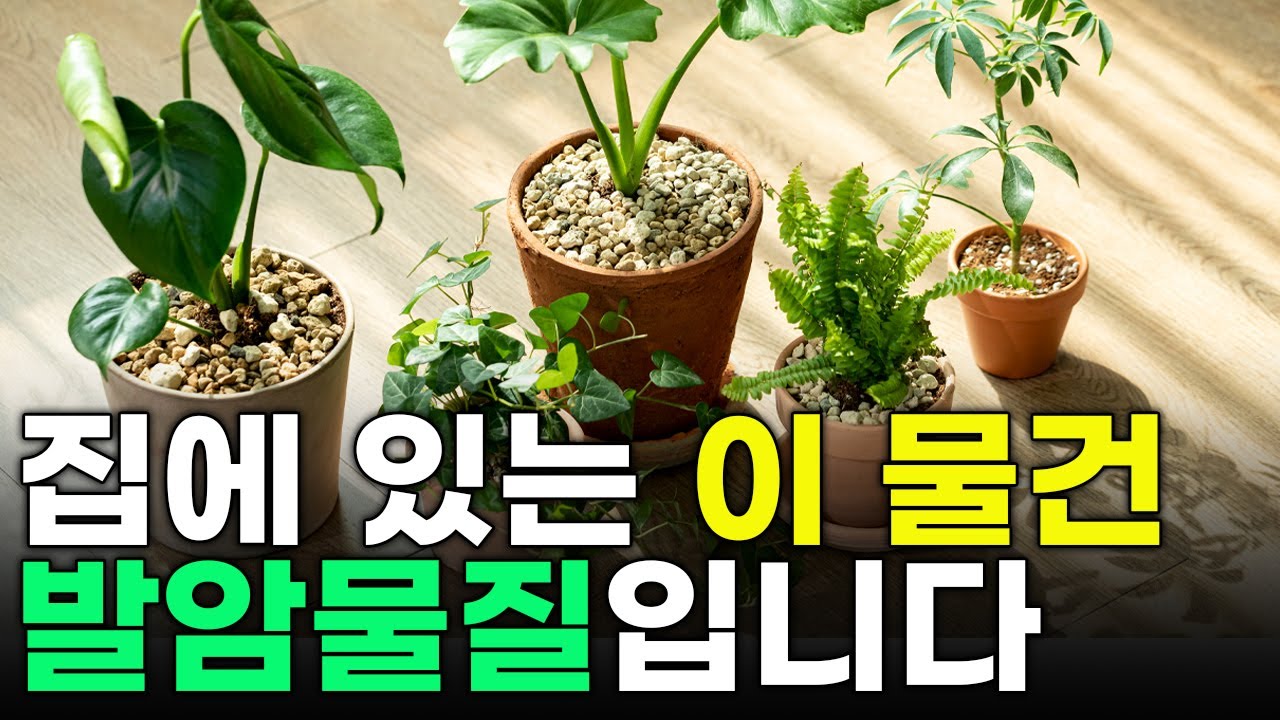 집에 있는 이거 당장 버리세요! 집을 오염시켜 만성염증, 암유발 하는 발암물질 입니다.