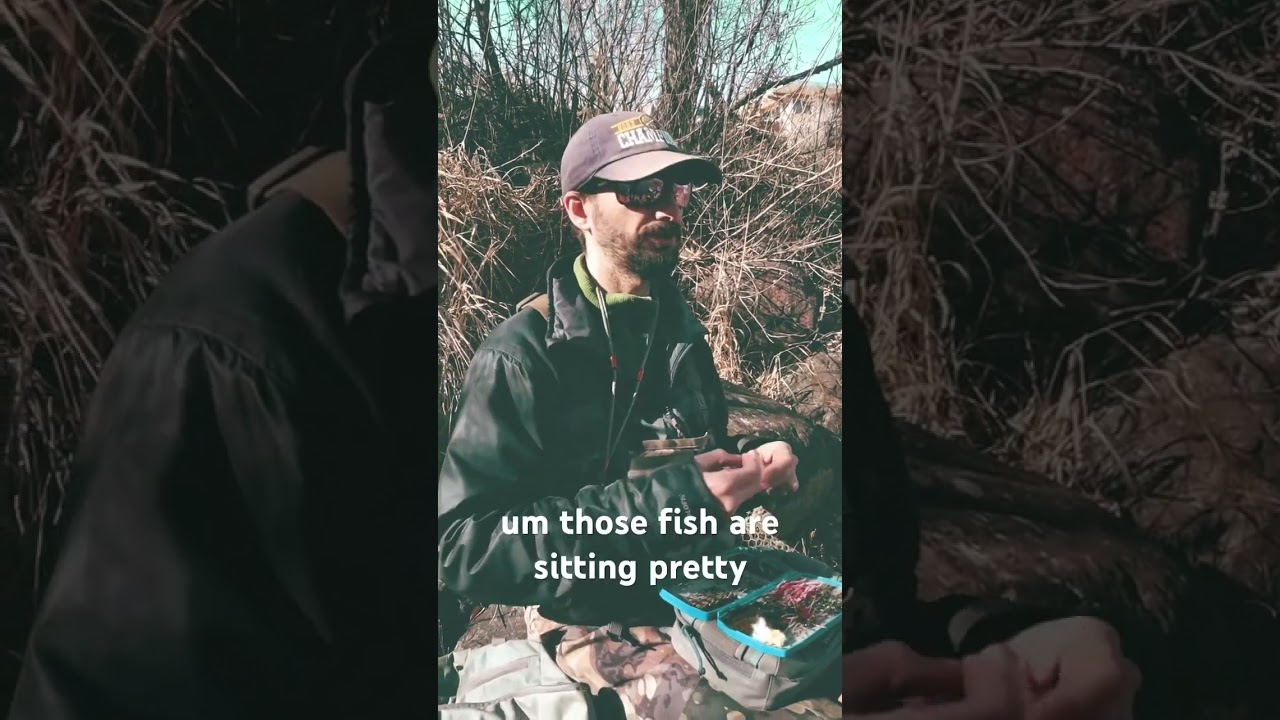 Christmas Animas Lunch Report #flyfishing