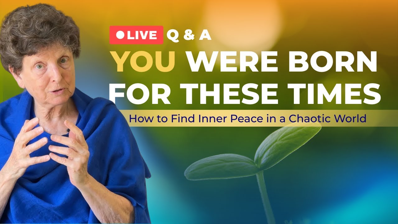 You Were Born For These Times Live Q&A