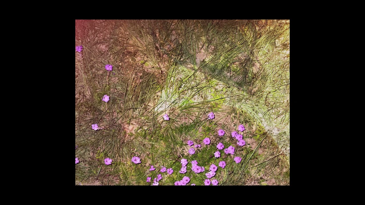 Emotions Prosper - Peak Spiral