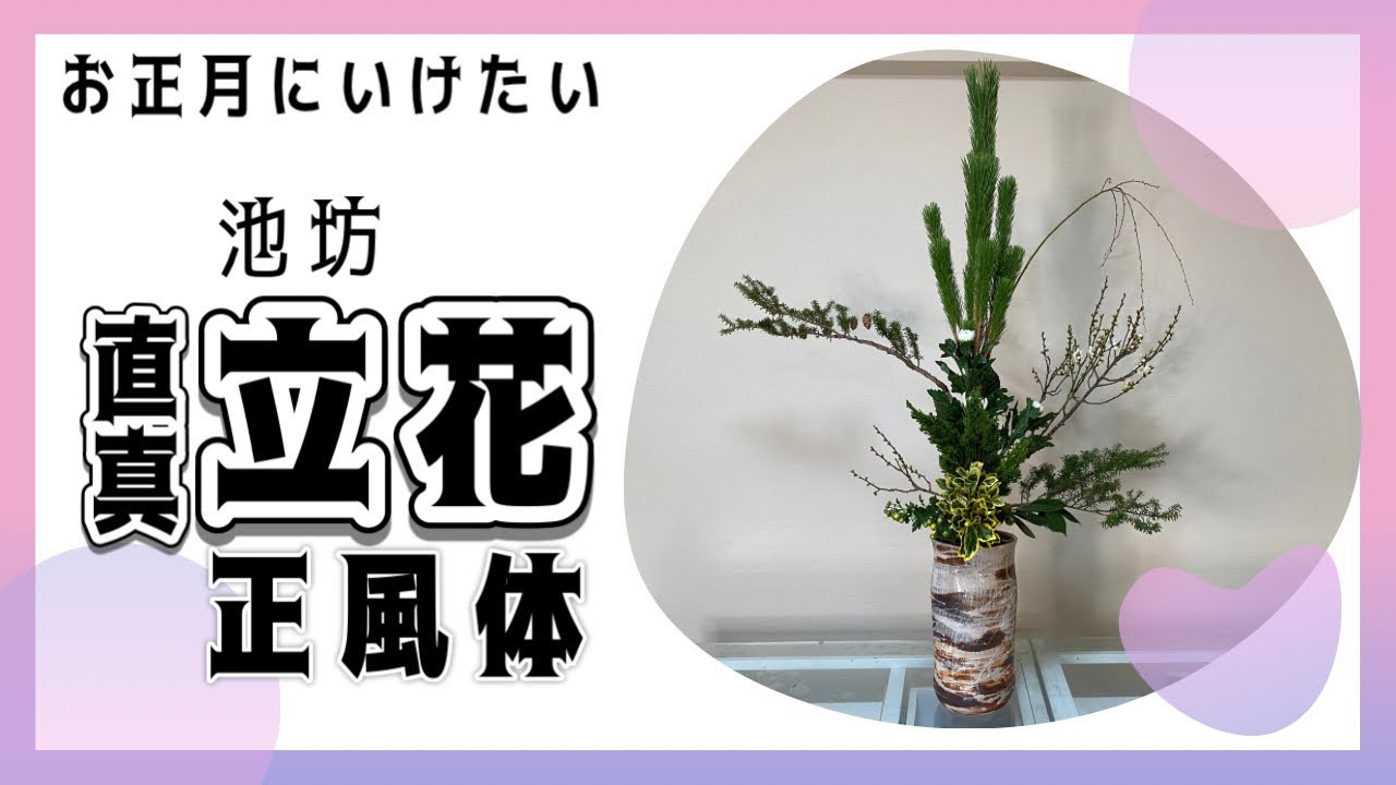池坊【いけばな Ikebana】お正月『直真 立花』正月の基本 長持ち【flower】 🌸 【生け方 How to make】