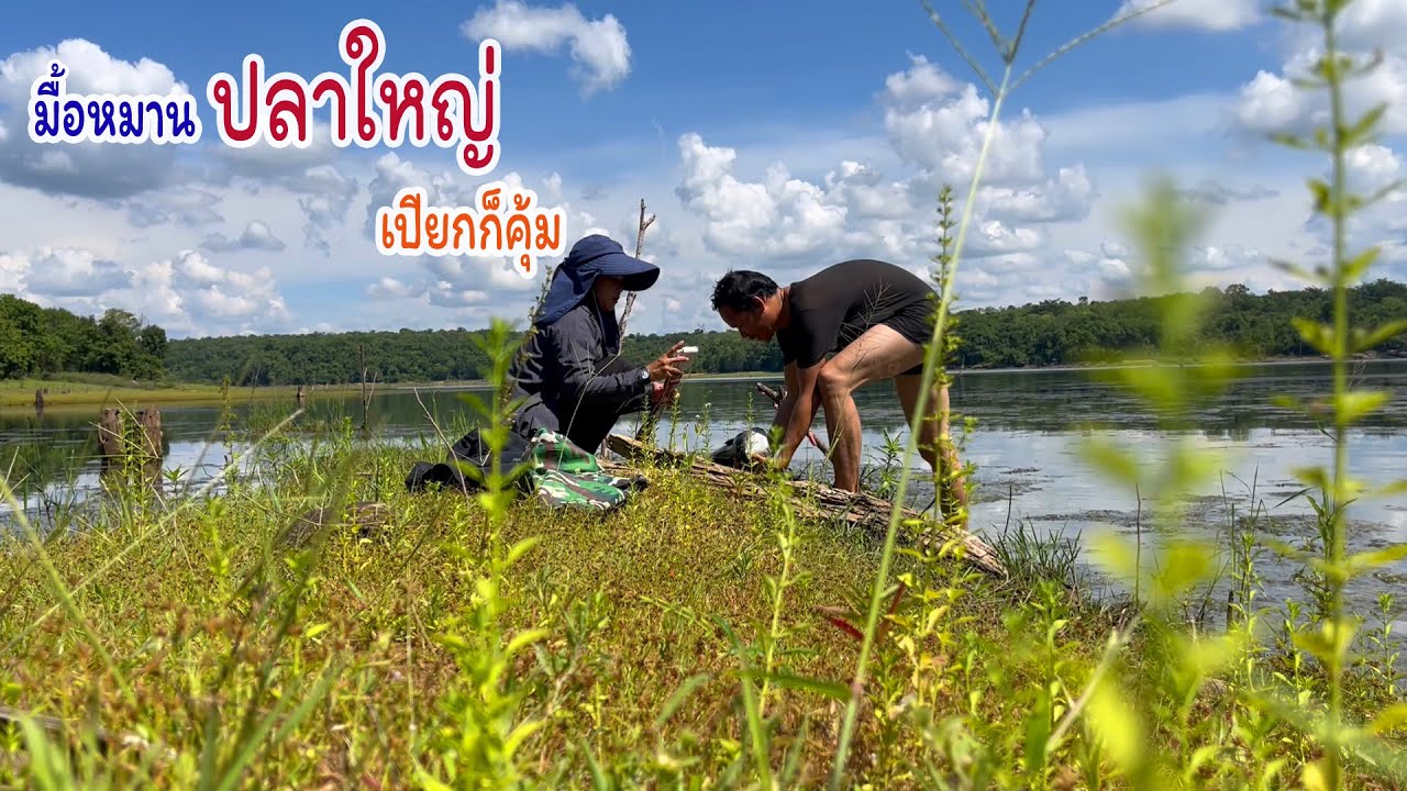 มื้อหมานตัวใหญ่ ยิงปลากินข้าวป่าเขื่อนห้วยพุง