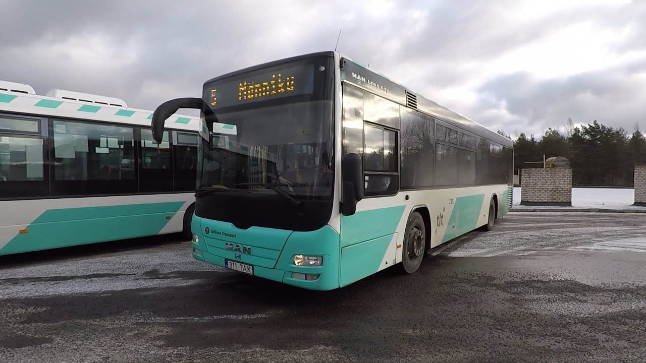 Bus route nr 5, Tallinn