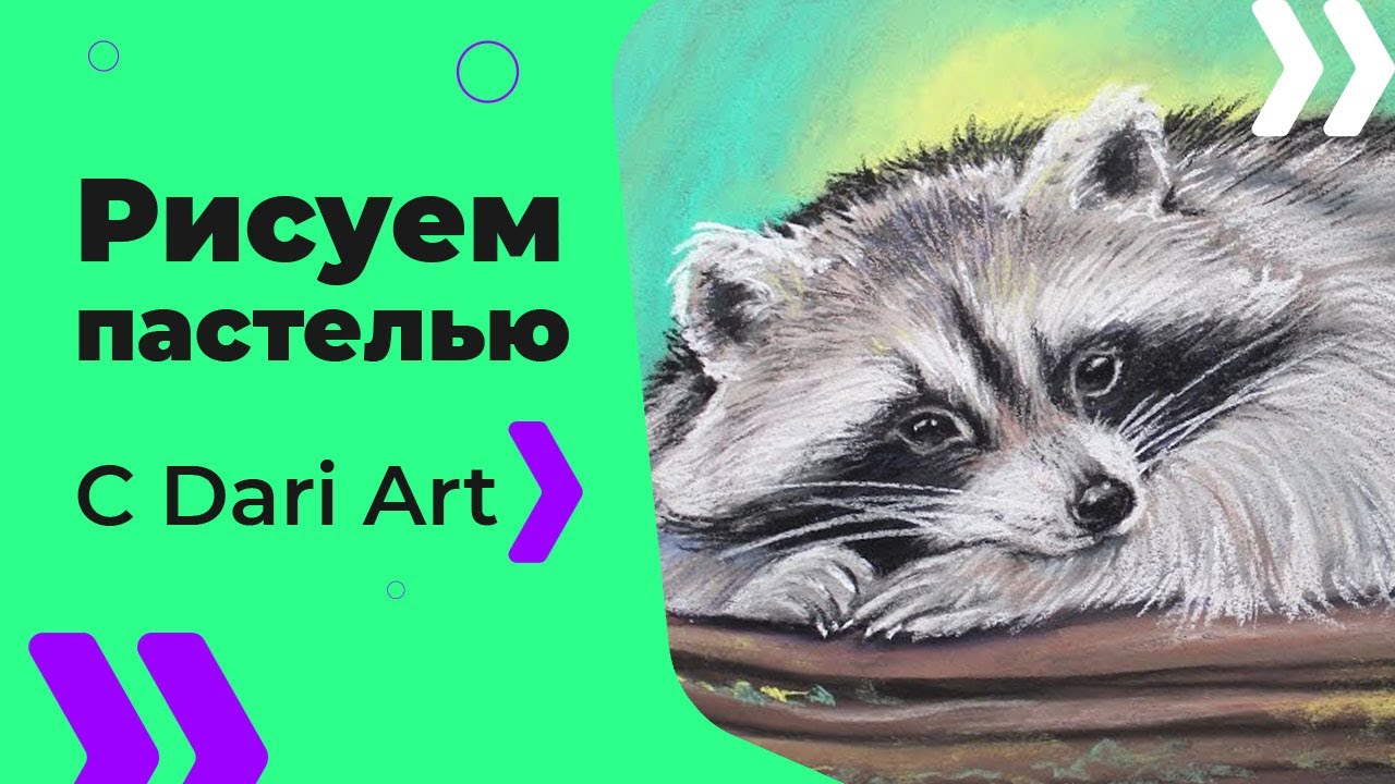 Как нарисовать енота сухой пастелью! #Dari_Art