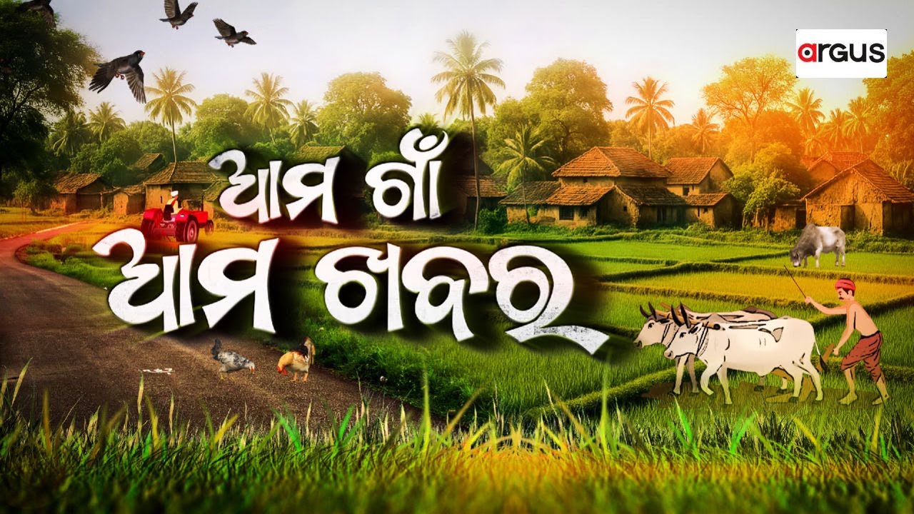 🔴Live | Ama Gaon Ama Khabar | ବାବୁଙ୍କ ଘରୁ ୪ କୋଟି ଜବତ | 25 Feb 2026 | Argus News