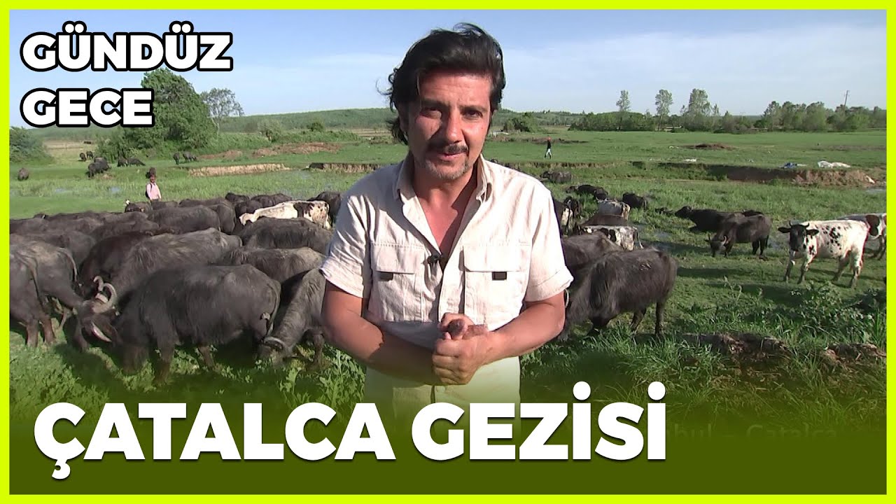 Gündüz Gece - İstanbul/Çatalca | 16 Mayıs 2020