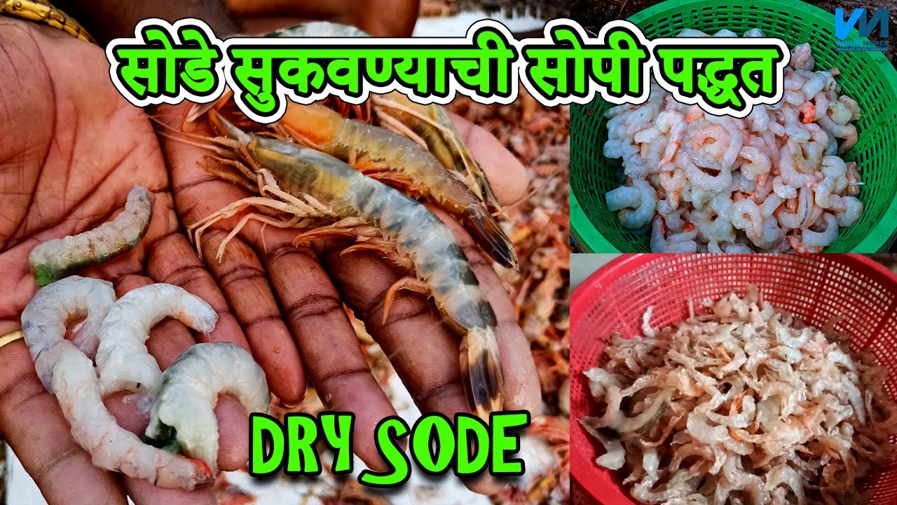 मोठी कोळंबी क्लीन करून सोडे सुकवण्याची सोपी पद्धत | How to Clean and Dry Large Prawns | 2022