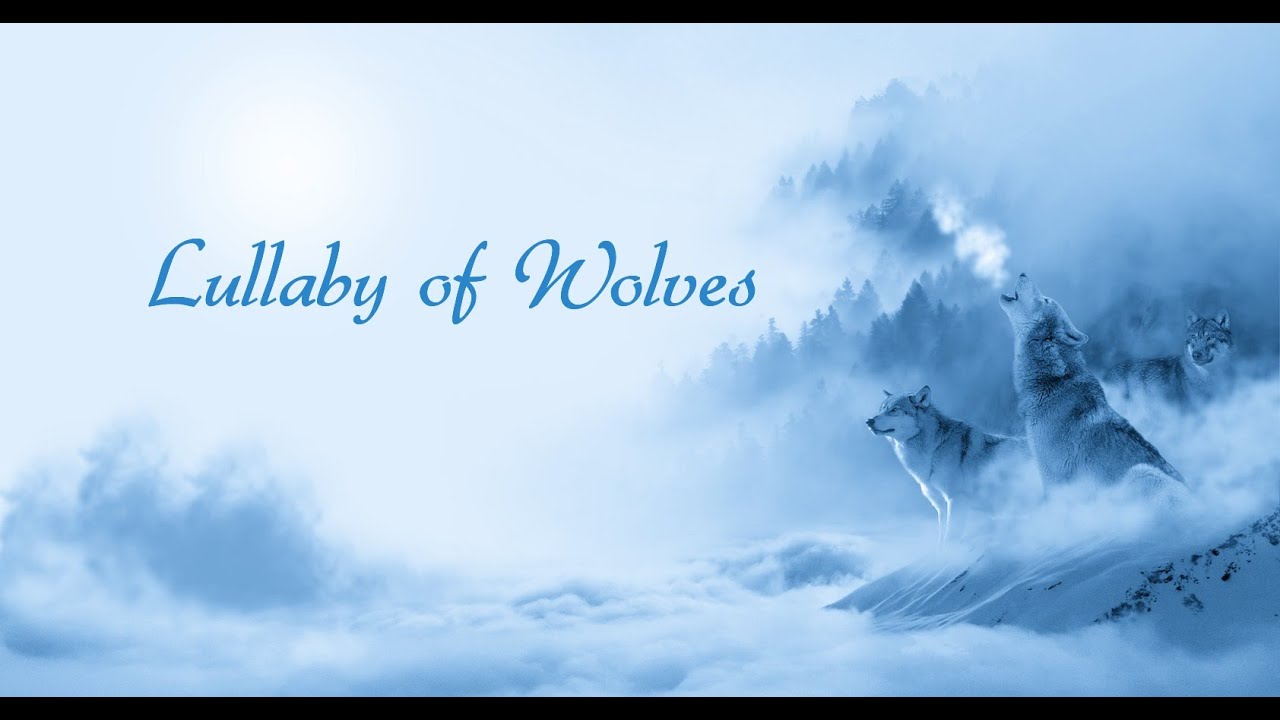 Maria Daines ~ Lullaby of Wolves ~ Lyric video