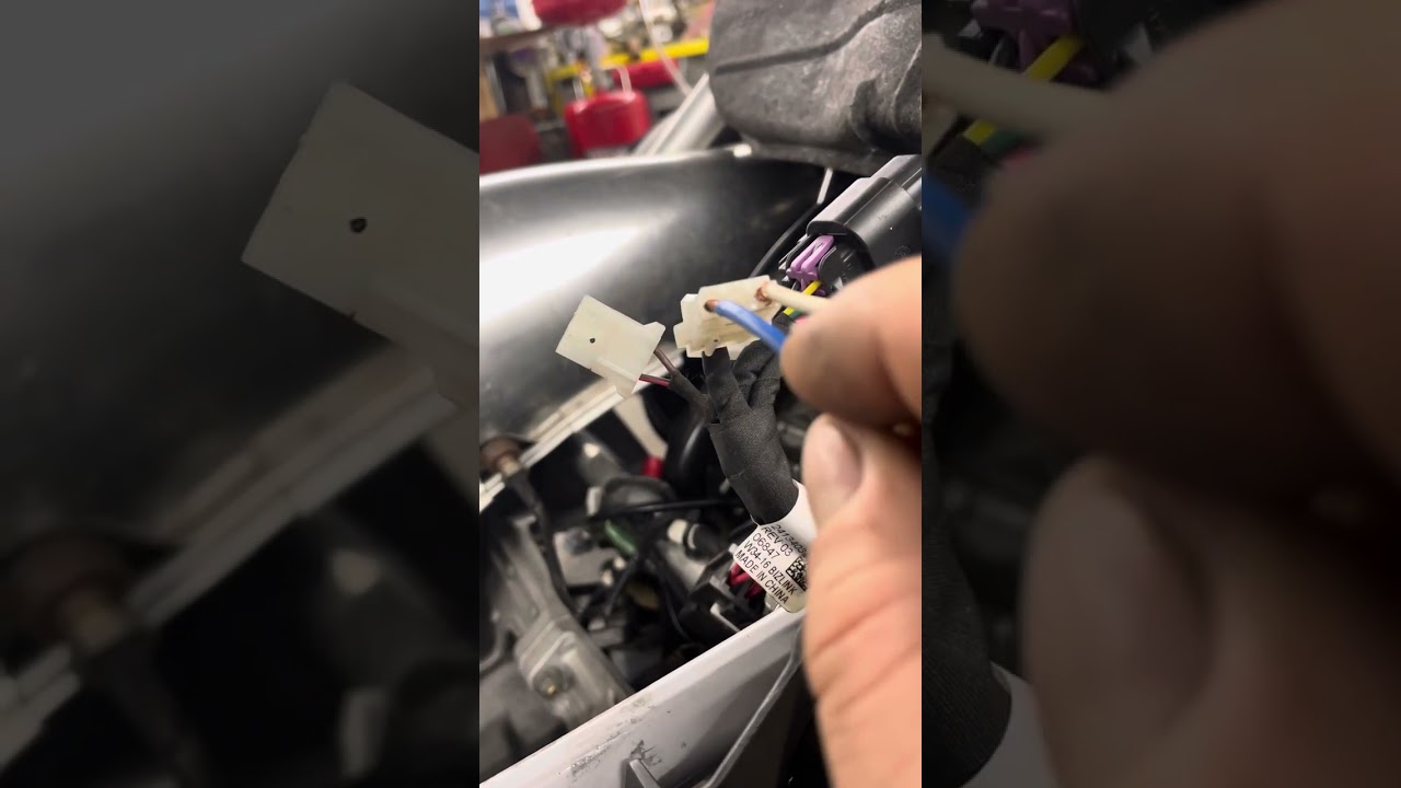 Polaris snowmobile electronic oil pump priming procedure diy
