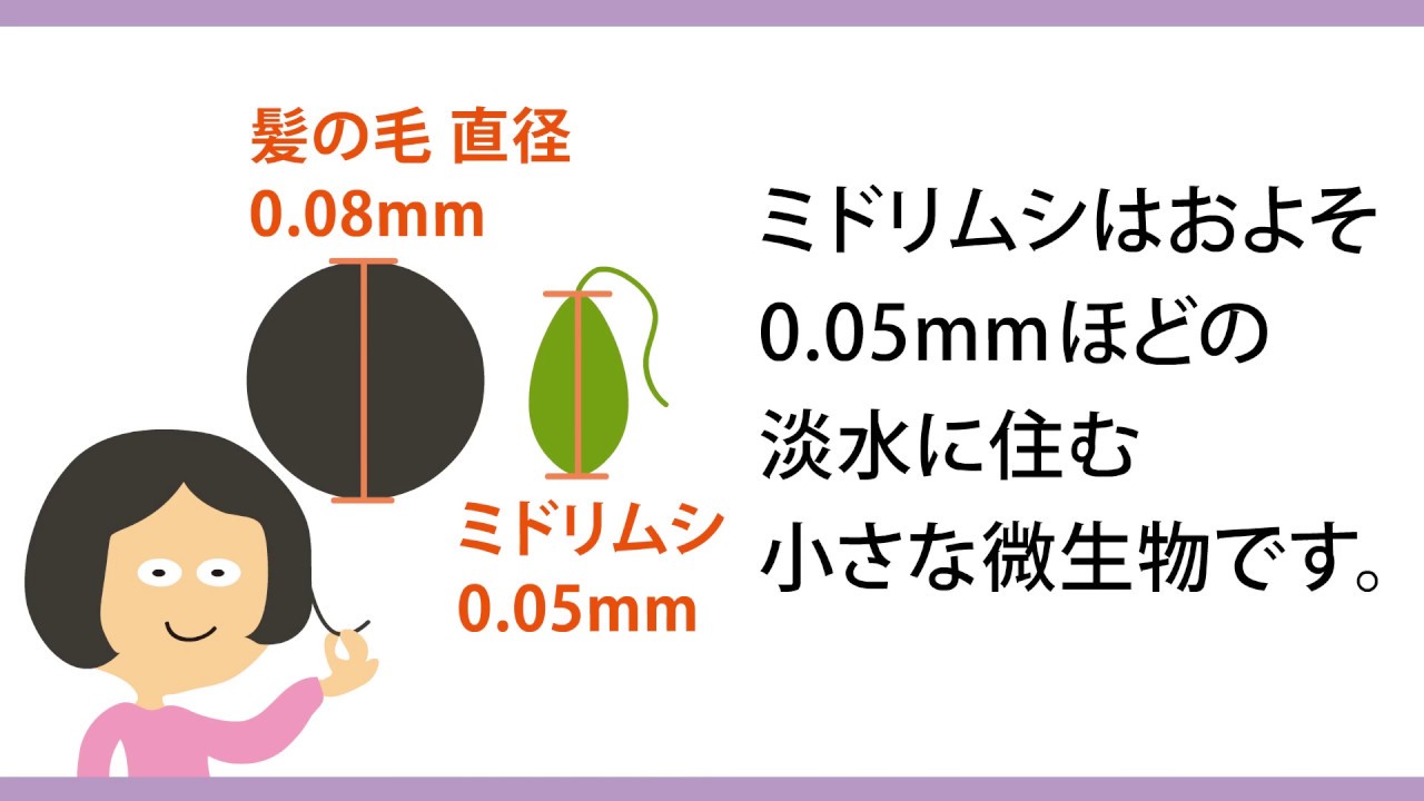 【すごいスーパーフード】ミドリムシは「ムシ」ではなく藻の一種