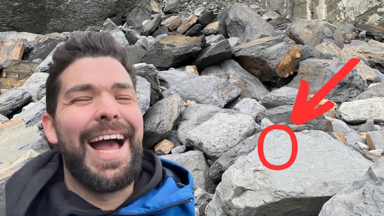 Incredible Fossil Hunt! Ammonites & Marine Reptile Bones Found!