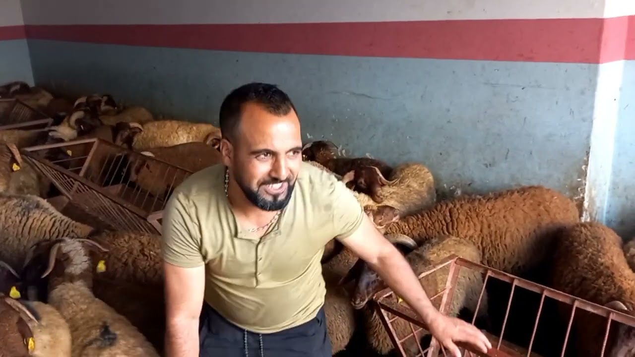 حولي في حي بورنزيل الدارالبيضاء  05|07|2022