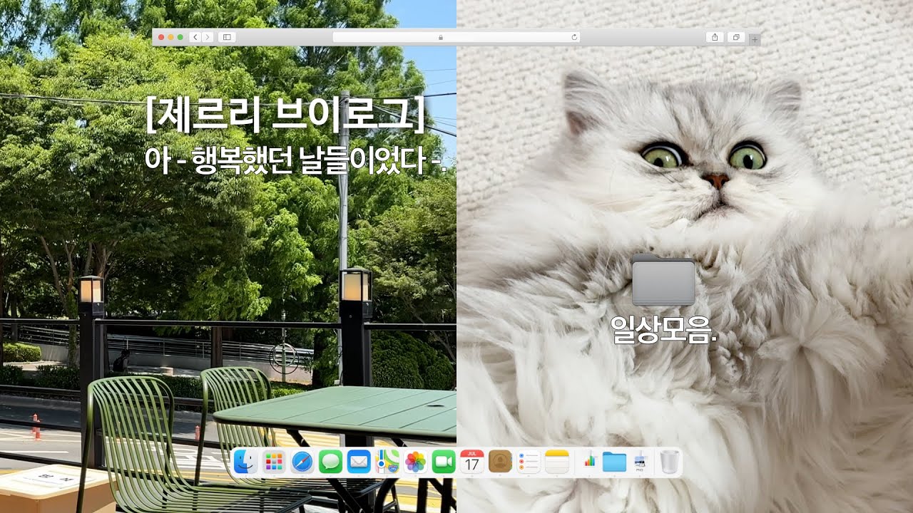 Vlog l 직장인 브이로그 l 아 - 행복한 날들이었다 - 🕊️