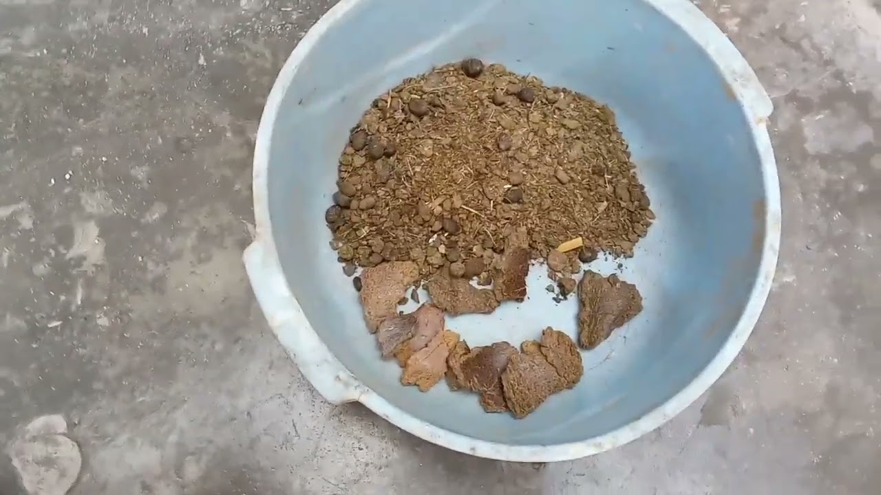 How to make & use power packed low cost  fertilizer \\ Most important activity for gardening in Feb