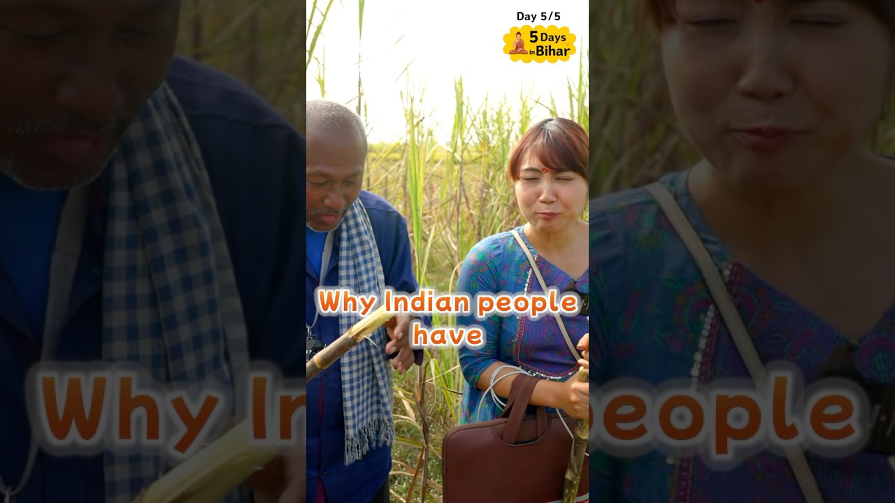 Japanese enjoys Village life in Bihar India🇮🇳 Valmikinagar #shorts
