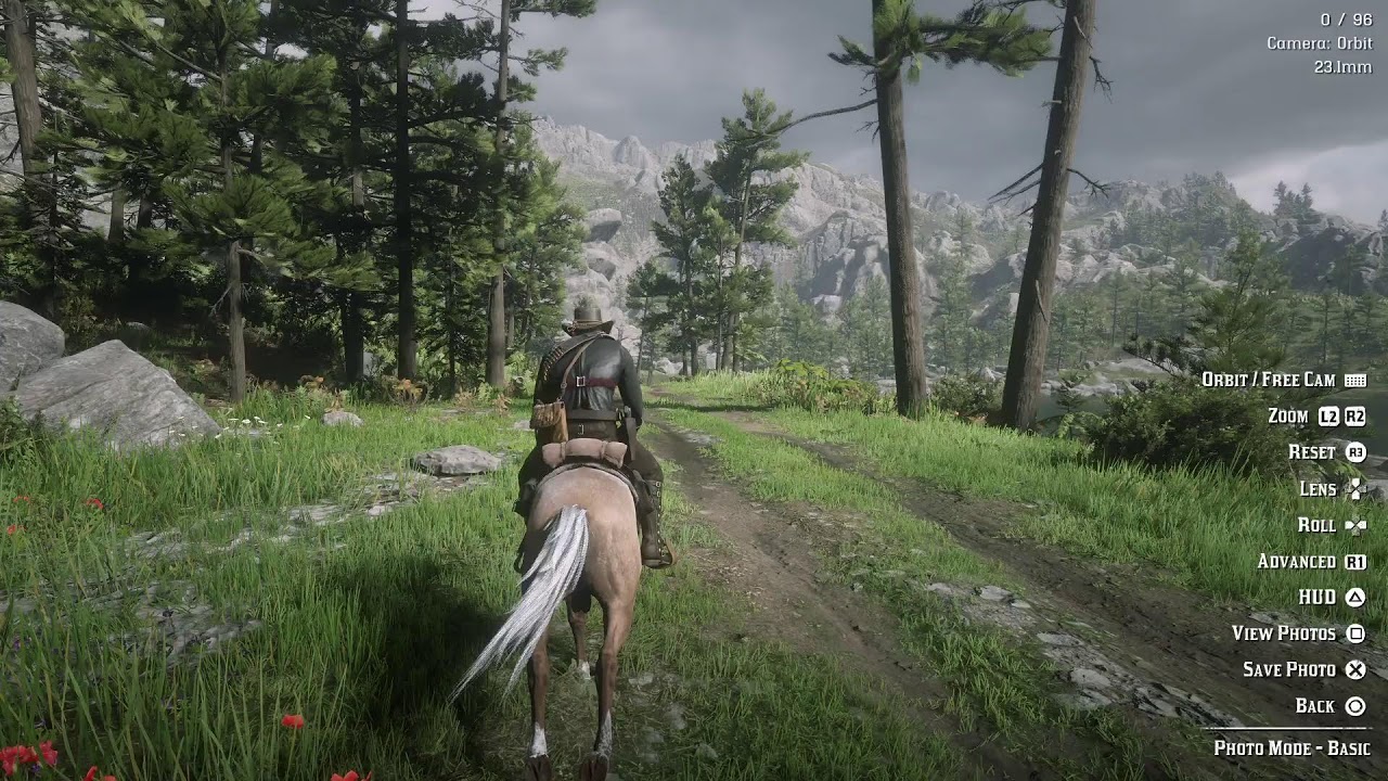 RDR2...