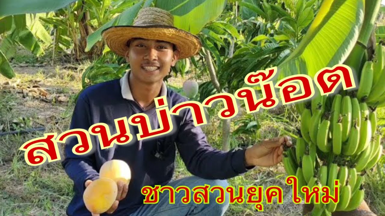#ชาวสวนยุคใหม่ สวนบ่าวน็อต & สวนบ่าวนิว #เกษตรอิสานยุคใหม่​ พ่อ-ลูก​ คนเก่ง